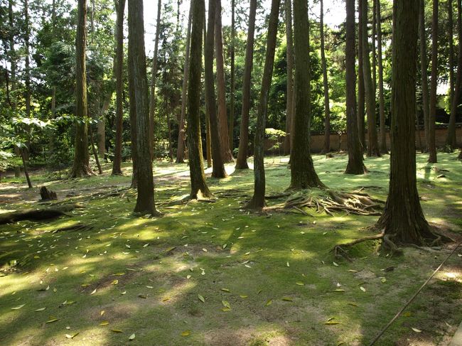 なんだか落ち着く空間でした。