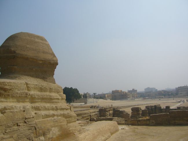 こんな感じで見つめているわけです