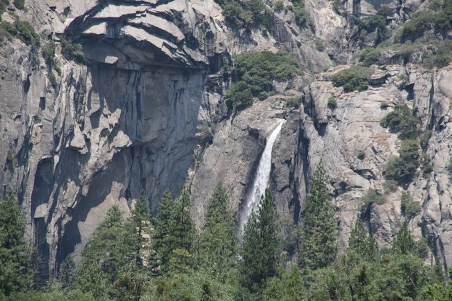 可愛いクリスマスツリーやギフトが！ アッパーヨセミテ滝トレイル「Upper Yosemite Fall Trail 絵画