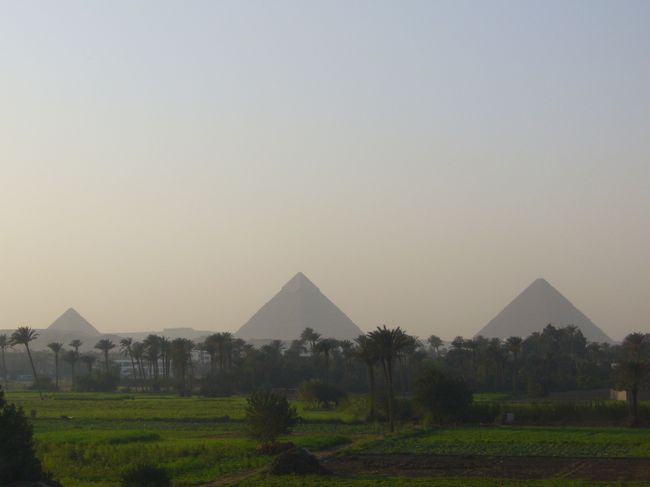 午後は｢エジプト考古学博物館」へ。<br />(ここはカメラNGです）<br /><br />王家の谷で見たツタンカーメンのミイラが<br />被っていた｢黄金のマスク」(純金製で重さ11kg)や、<br />ラムセス2世を始めとするミイラ12体を見学しました。<br />ミイラには頭髪が残っていたり、なんだか<br />とても不思議な空間でした。<br /><br />そして夕方。<br />時間があったのでガイドさんが、<br />｢バイバイピラミッド」時間を作ってくれました。<br />こちらも見納め…<br /><br />