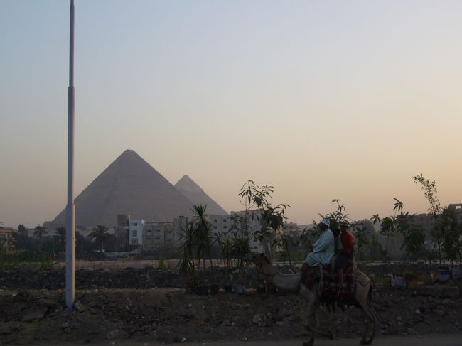 偶然、らくだが通りかかったので<br />みんなで「ピラミッド＆らくだ」を撮影。