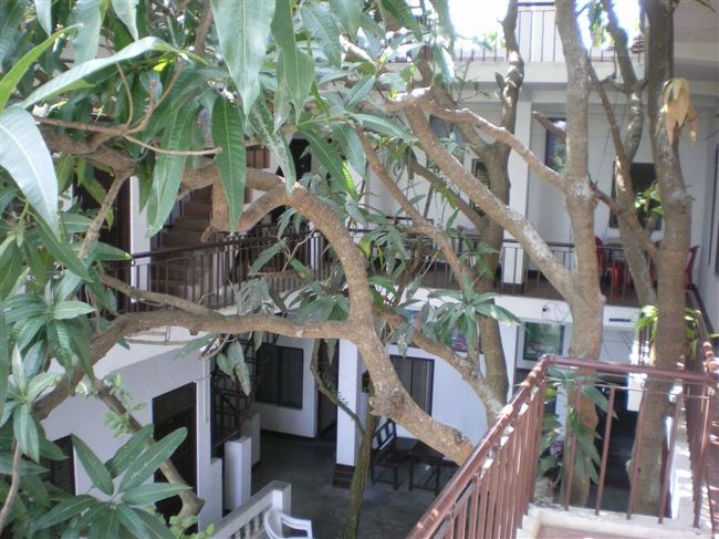 ルンビニ・ビレッジ・ロッジという宿に宿泊。<br />レンタルサイクル、インターネットが出来た。