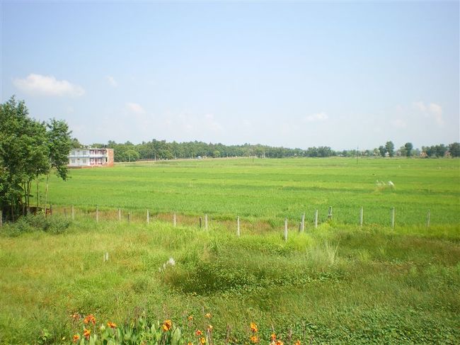 ルンビニ周辺には村々の点在する田園地帯が広がっている。