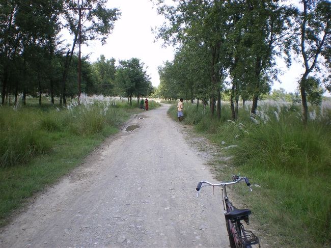 聖園地区はサイクリングに最適です。<br />ただ暑くてしにそうでした。