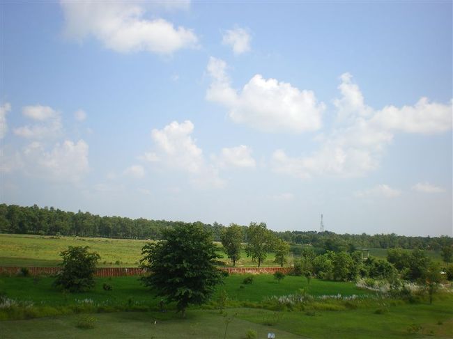 牛や羊などが聖園ないで放し飼いにされていました。<br />