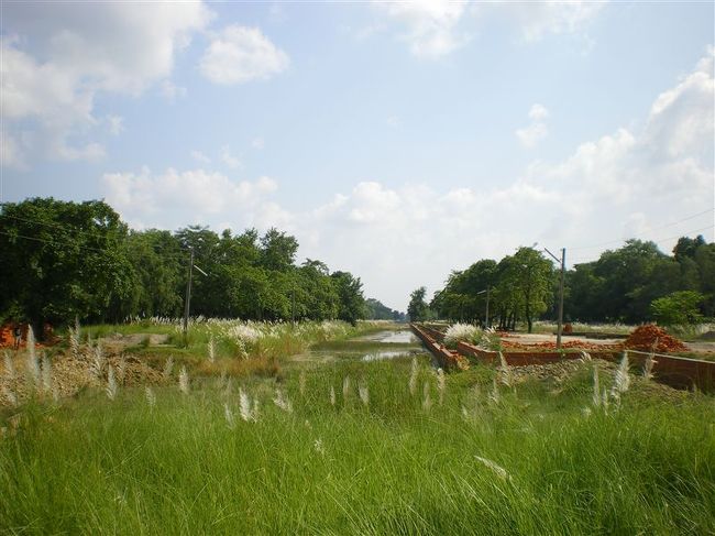 聖園地区内には世界各国の仏教寺院が乱立していて、仏教のテーマパークの様相を呈している。