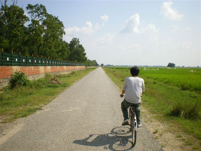 ルンビニ園を一歩外へ出ると、広大な土地が広がっていまた。