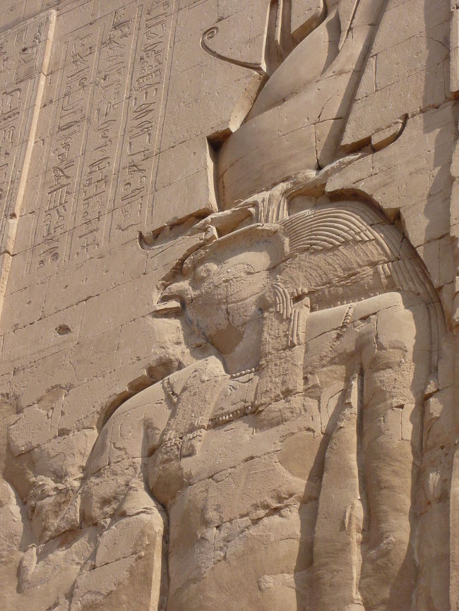 ズームアップ！