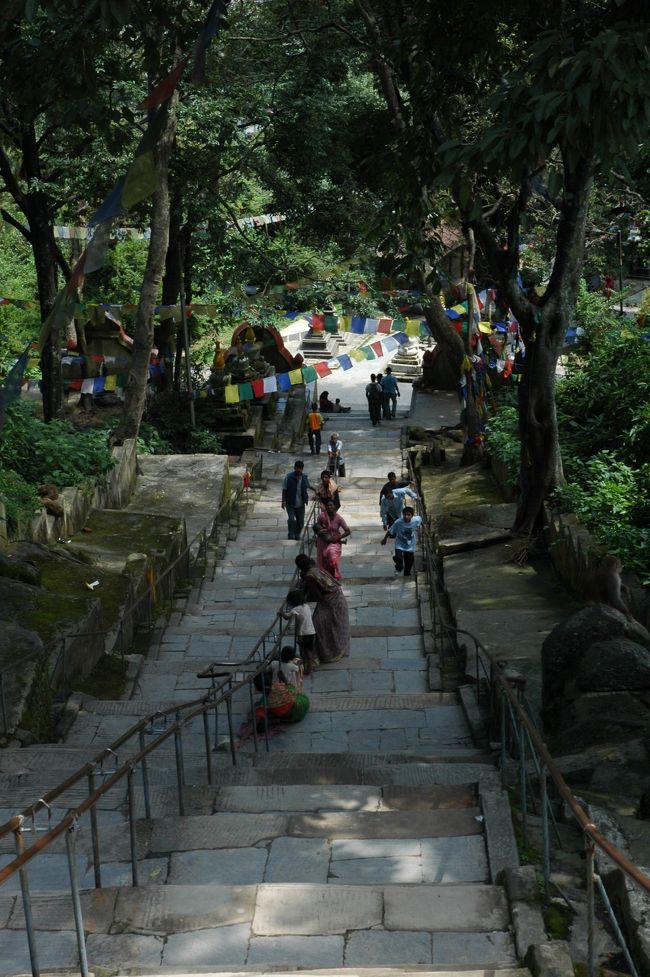 ようやく途中まで来て、これまで登った階段を見下ろしています。上に行けば行くほど急な階段で、とても一気には登れません。(~_~;)