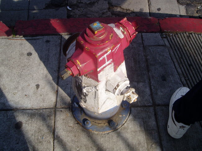 なんか絵になります。