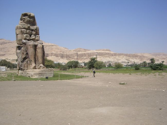 それを撮影しているオレ<br />真ん中の黒っぽいちいさいの。