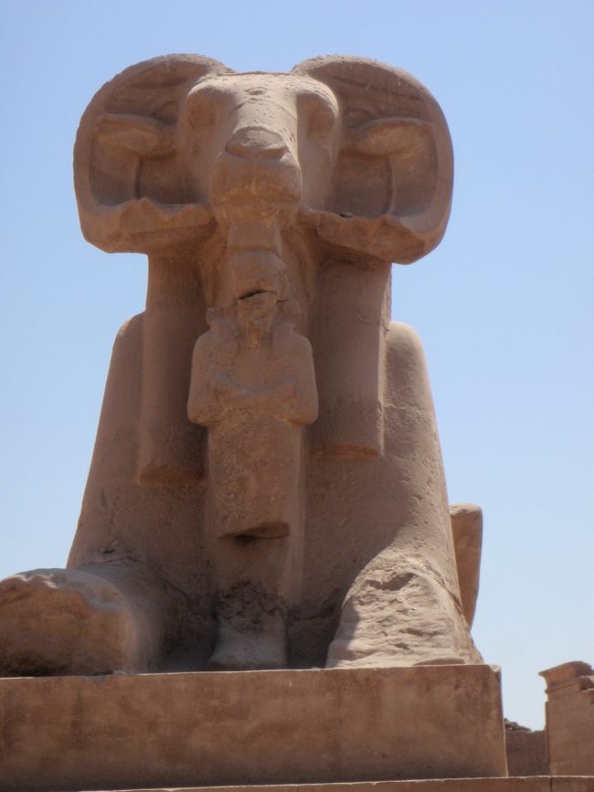 入り口に並んでいるのは、スフィンクスじゃなくて<br /><br />ひつじ。<br /><br />よわそー。