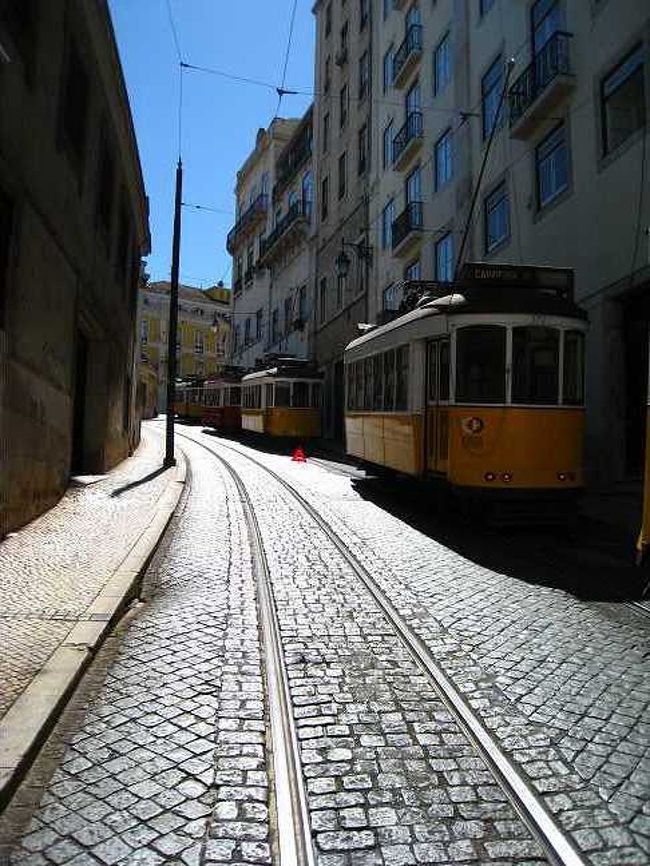 市内中心地に戻る。<br />あらららら。<br />市電が故障しているらしく、そのおかげで詰まっちゃってるよ。珍しいかも。<br />なんか可愛い。