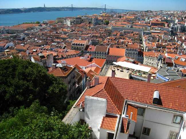 見える世界は、青・赤・白、そして緑のみ。