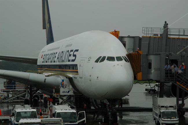 食事も映画も堪能し、あっという間の6時間半で、成田に到着。<br />さすがに巨人機だけあって、揺れらしい揺れは感じず、何より静かな客席でした。<br />今回は1階の搭乗でしたが、もし次に乗る機会があればぜひ2階に乗ってみたいなあ。もちろんビジネスかスイートでもいいですけど。<br />とにかくデカイこの飛行機。いまはシンガポール航空でしか運行していませんが、もっともっと導入してほしいですね。