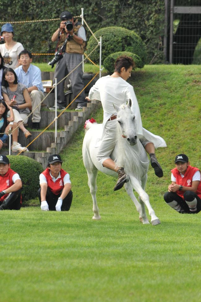 第40回愛馬の日 思った以上に面白かった馬事公苑 - 東京都世田谷区【前編】