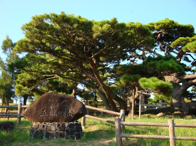 話は飛びまして、はての浜から帰るとまたイーフビーチを満喫し、そのあとレンタカーを借りにいきました。営業所の方が、ホテルまでお迎えにきてくださいました★<br />レンタカーを借りたのが夕方だったので、回るポイントを五枝の松とアーラ浜に決め、いざ出発。写真は五枝の松です。カーナビは使う意味がなかったので、使いませんでした笑<br />意外にも、久米ガイドブックの簡単な地図と、道路の案内板のみで大丈夫♪<br />五枝の松は、売店もありますし、お手洗いもキレイですので、休憩のポイントにしても良いかと。<br />