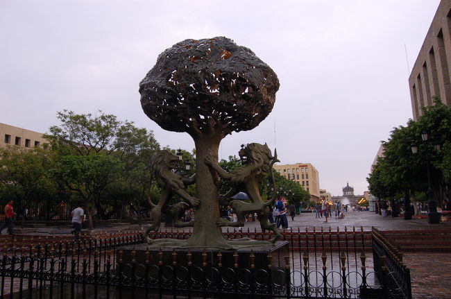 奥には<br />【世界遺産】オスピシオ・カバーニャス