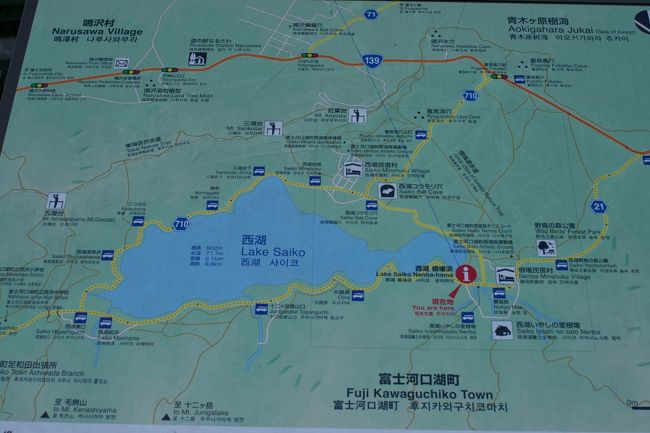 西湖の根場浜とは、この位置です。