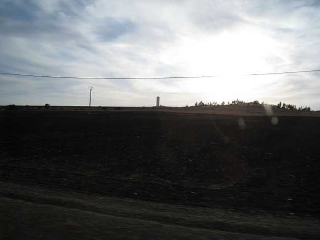 フェズまでおよそ６時間。<br />休憩挟み、ひたすら走り続けます。<br />荒涼とした丘を越えたりしていると、羊や牛を<br />やたら見かけるのと、道端や木陰で寝転がっている人を見かける。それもかなり。。。<br />ラマダン時期もあって、みんな昼間は動きたがらないのかな？？