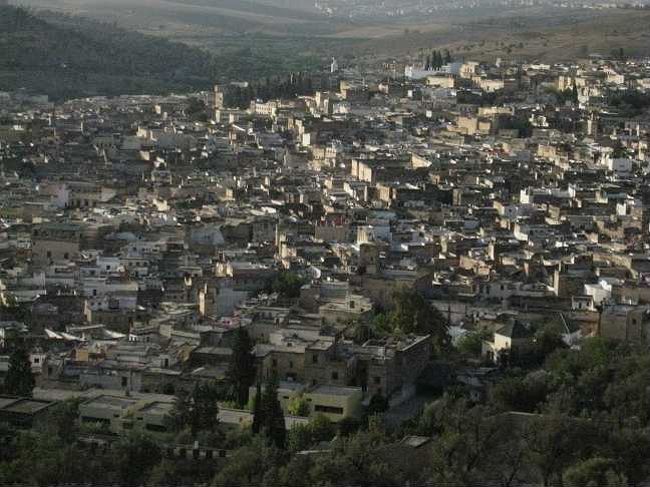 ズームすると、よく分かります。