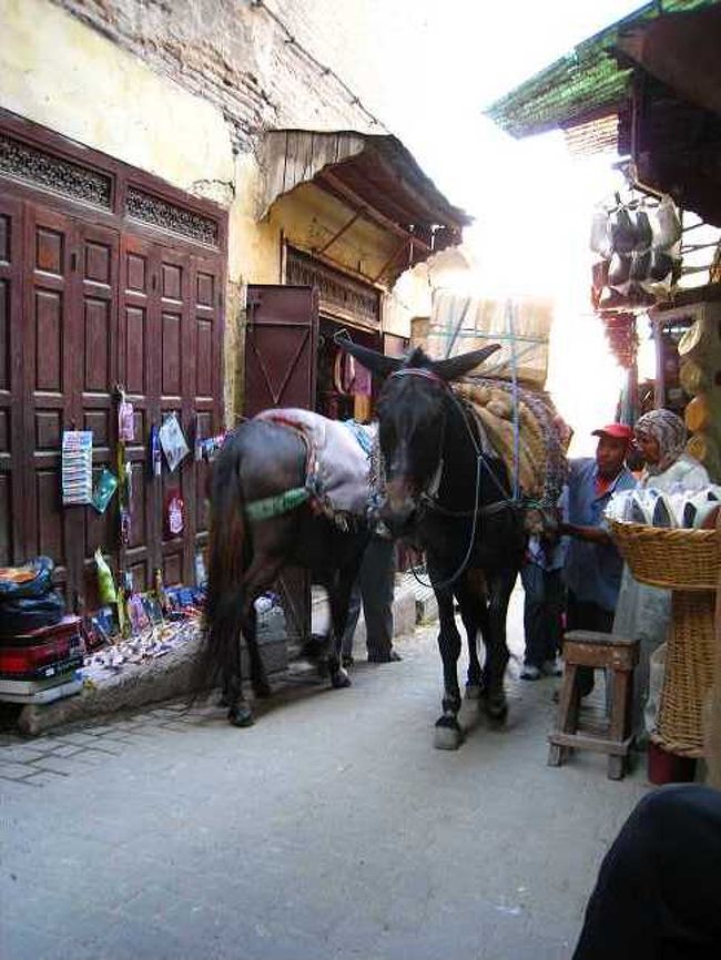 たまに、こんな状況になったり、