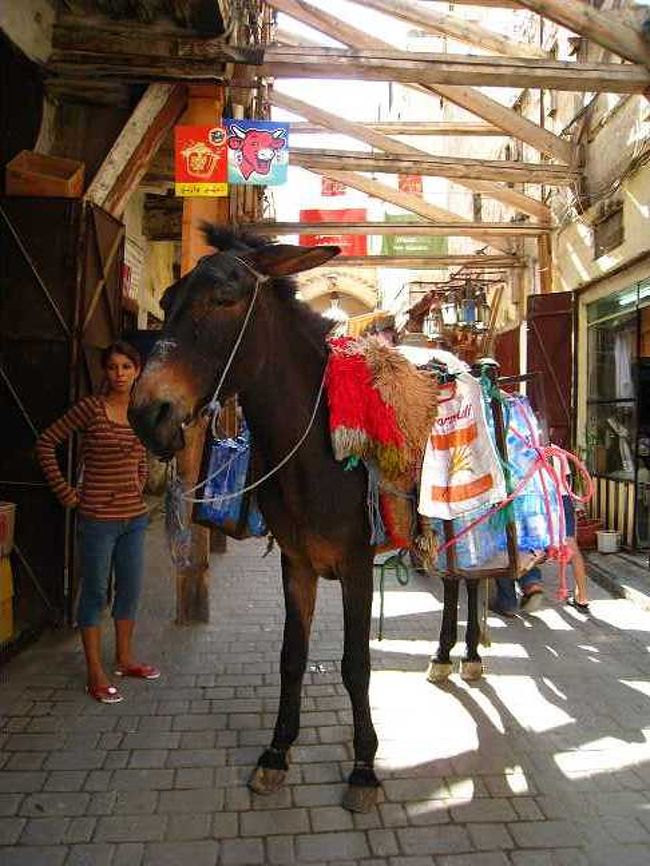 こんなことになると、待つしかないです。。。
