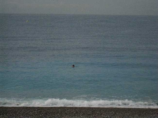 それで、海で泳いでます。<br />いつ行っても誰かしら泳いでます。<br />朝９時前ですが。。。