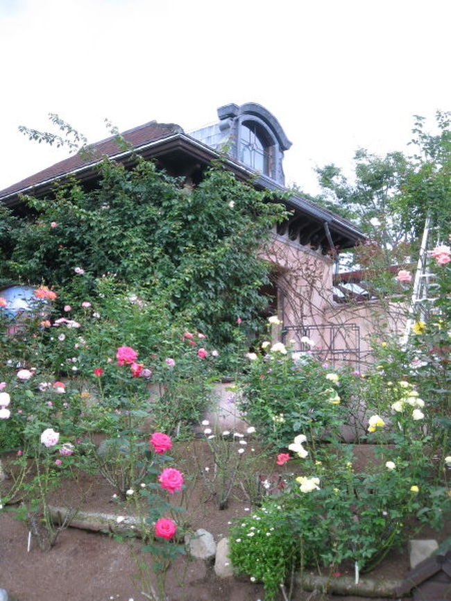 バラ園<br />たくさんの種類のバラが咲いていました。