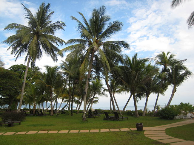 こんな景色に出会うと、今日もなんかいいことがありそう、という気になりませんか？