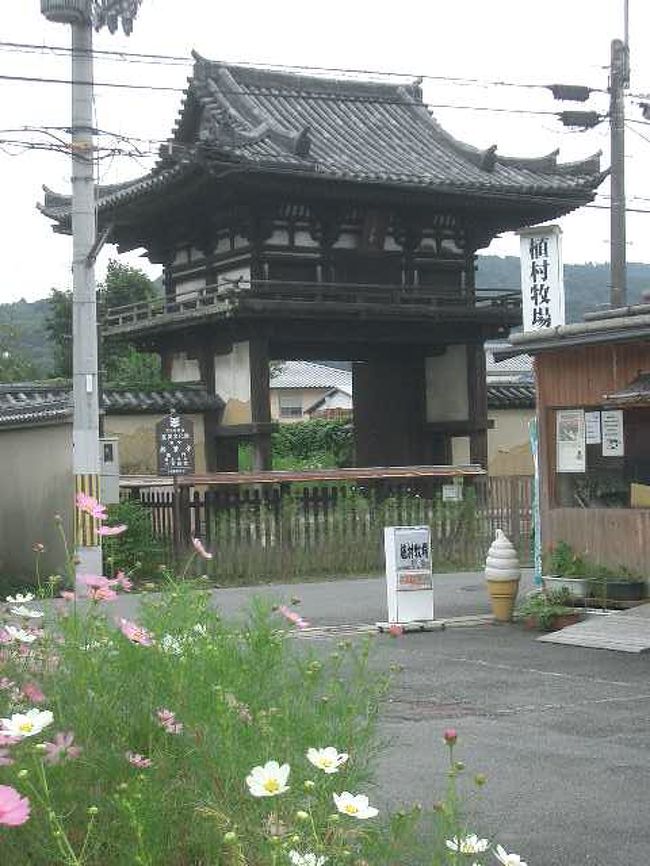 般若寺のすぐお隣が、