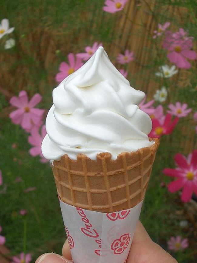 ソフトクリームをいただき、