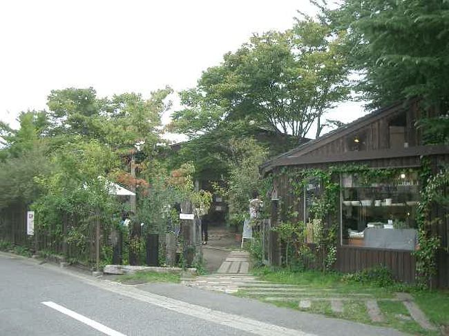 「くるみの木」に着きまして。さあ、ランチです。