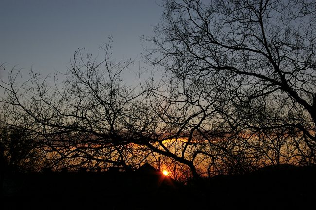 ブダペスト　IBS GARDEN HOTELより朝焼け