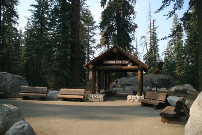 シャーマン将軍の木「General Sherman Tree」セコイア国立公園