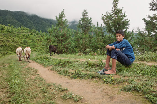 家畜の世話をする青年