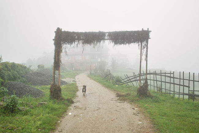 村の入り口のゲート