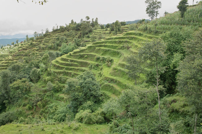 山は段々畑が広がる。