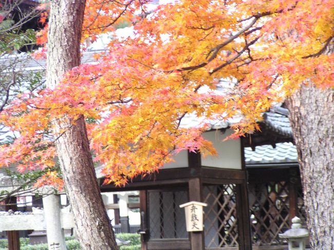 京都紅葉名所案内 洛中編7 洛央コース』二条・烏丸・河原町