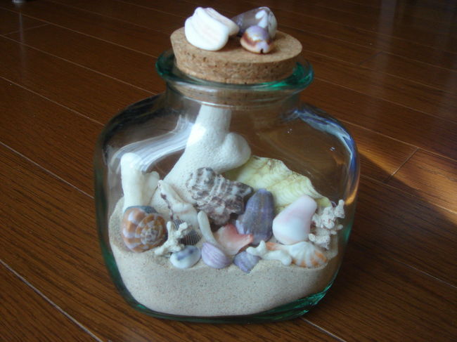 　これがクラブパラダイスのビーチで拾い集めた<br />砂と貝がらです。<br />　また私のコレクションが増えました！<br />　