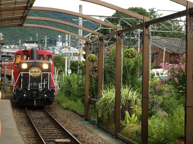トロッコ列車がやってきました。<br />列車を牽引する機関車、DE10