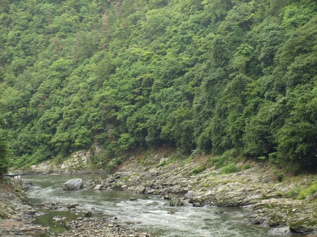 おお、渓谷が見えてきました。<br />流れ速そう。。。