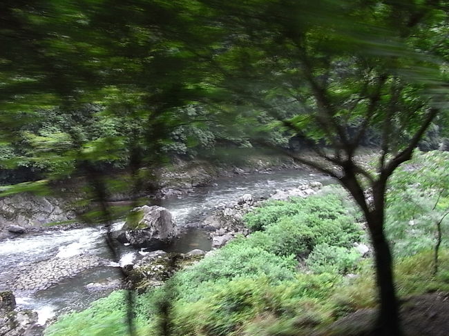 あれが一番大きな石で、、、<br />車掌さんの観光案内もあります。