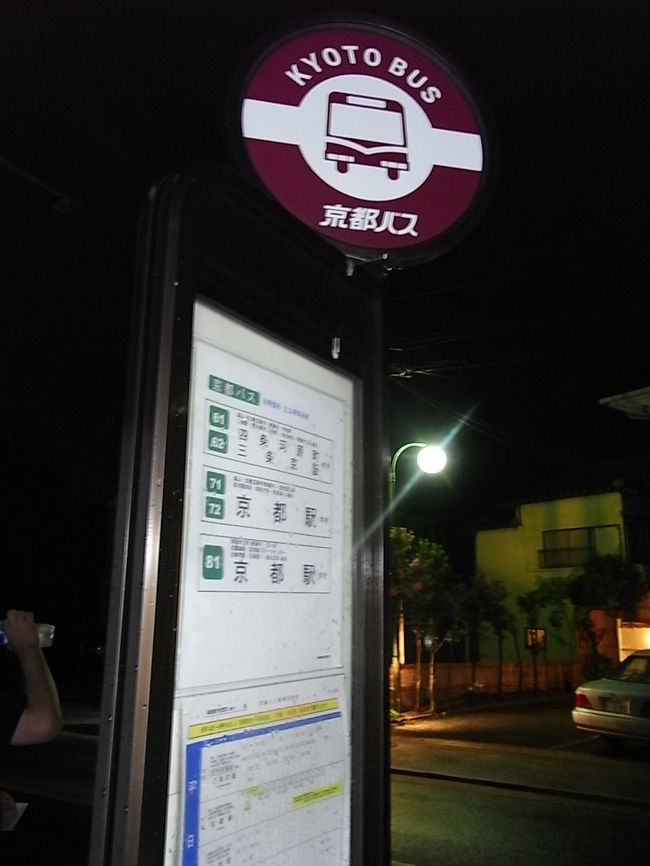 夜道は真っ暗で少々不安。。。<br /><br />帰りはバスで中心地のホテルまで戻りました。<br />