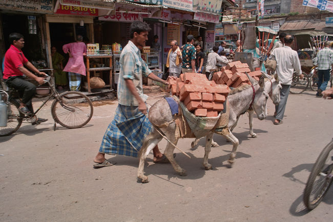 ロバも時々登場する。