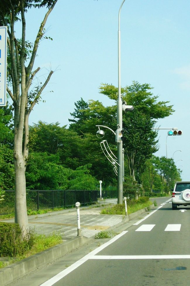 空港までの道。<br />街灯が七夕かざりでした。