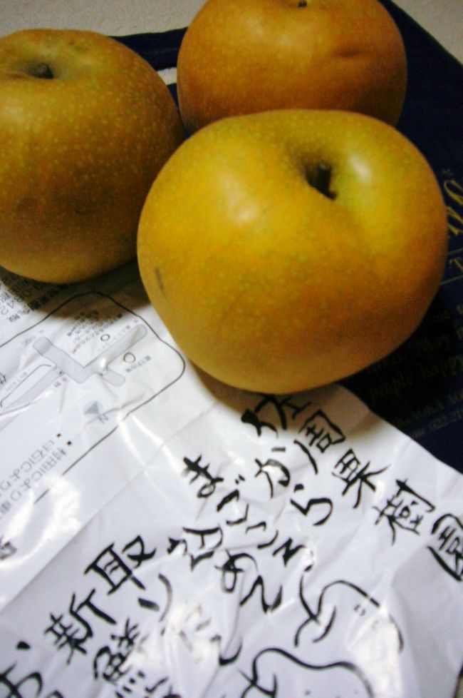 おみやげたち?<br /><br />蔵王の佐周果樹園の梨。<br />これがまた、今まで食べてきたなかで一番美味く思えた梨でした。