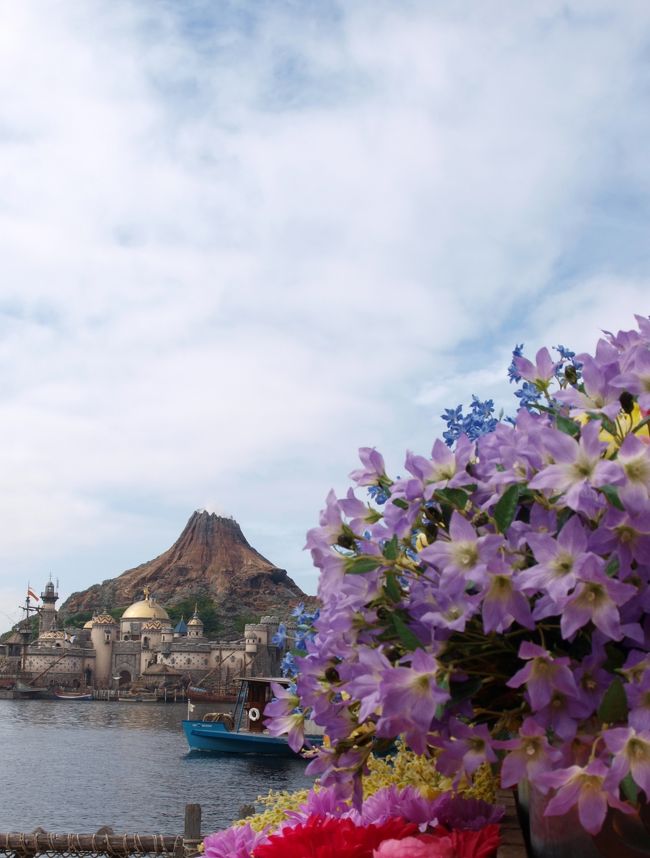 雲はあるけど、すっきり秋晴れ♪