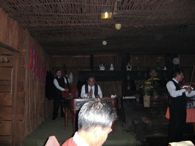 フォークロアショーの生演奏。<br />中央はツィンバロン。<br />日本ではあまりなじみないですが、ハンガリーを中心とした中欧・東欧地域で見られる弦楽器です。<br />ハンガリーの作曲家・コダーイの「ハーリ・ヤーノシュ」で利用されています。