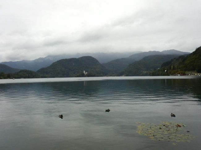 アルプスの瞳と讃えられるブレッド湖。<br />しかし、天気は小雨でどんより。<br />青空だったらもっときれいだっただろうなあ。<br />でも、このどんよりさが幻想的な雰囲気を出していた。